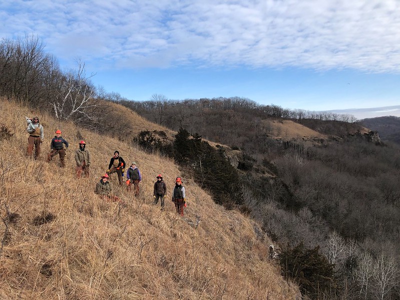 A Driftless Area savanna natural community at Limery Ridge State Natural Area. Photo: Justin Nooker