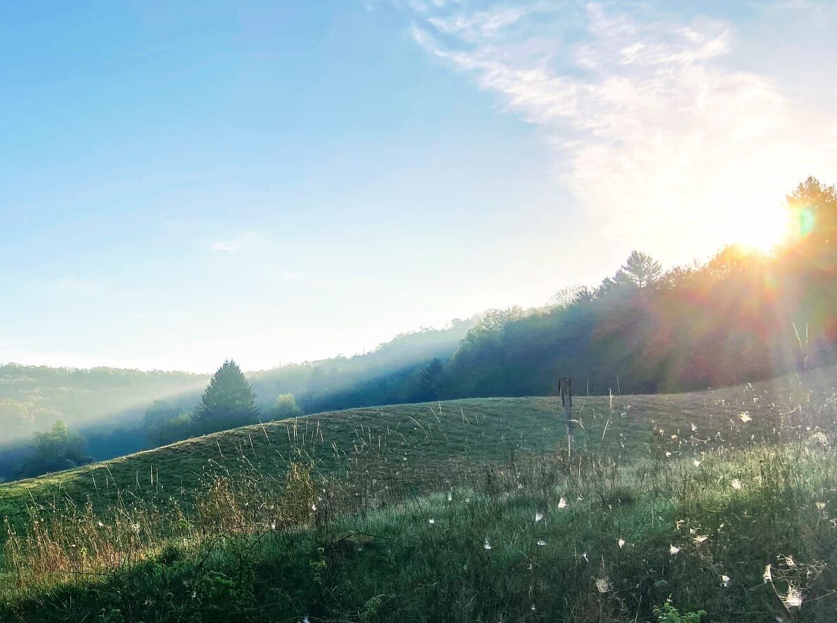 In the Driftless Area of Wisconsin, a rolling grassy hill with sun peeking over the trees. Photo by Emily Landmann/Driftless Area Land Conservancy