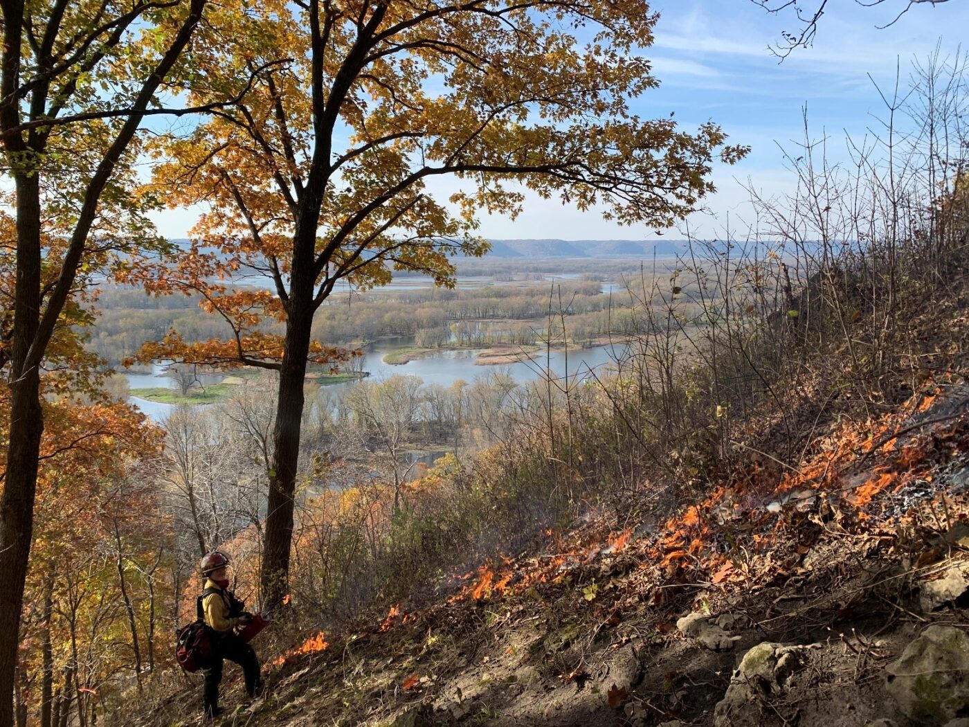 Wisconsin Climate Change Adaptation: Prescribed burn Ignition Specialist carefully burns the side of the bluff at Rush Creek SNA. More than 100 acres were burned at this site in total. Photo: Justin Nooker, Wisconsin DNR.