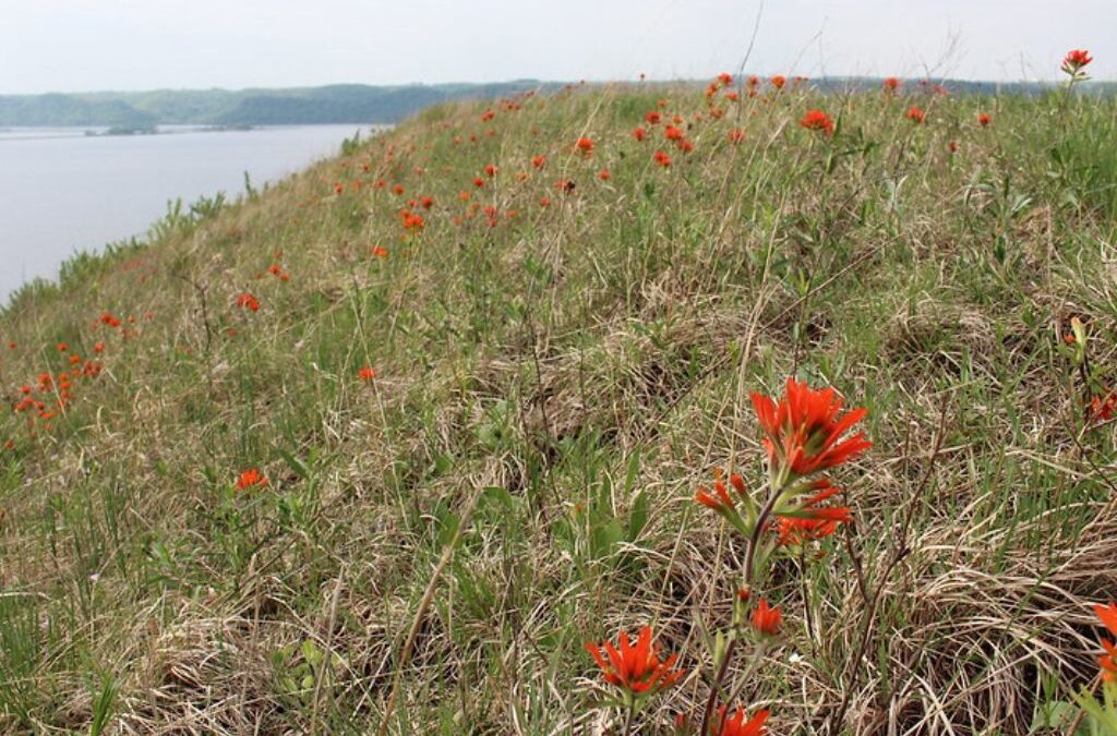 Protecting Rush Creek from Climate Change