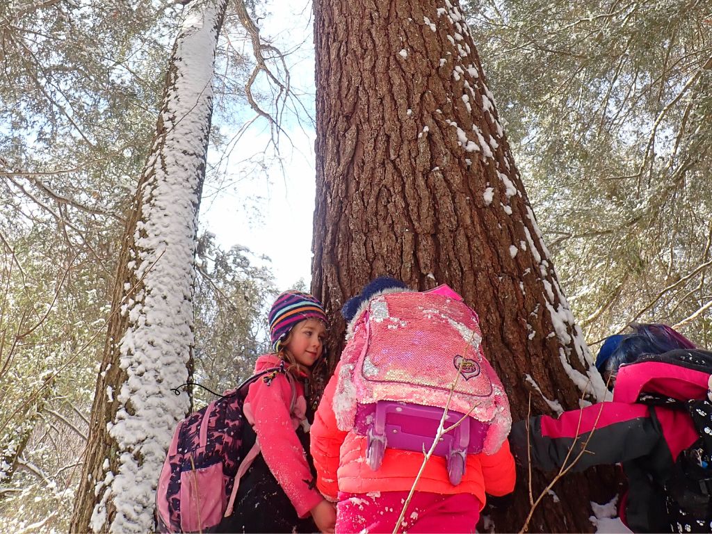 First graders gather around the trunk of a large tree.