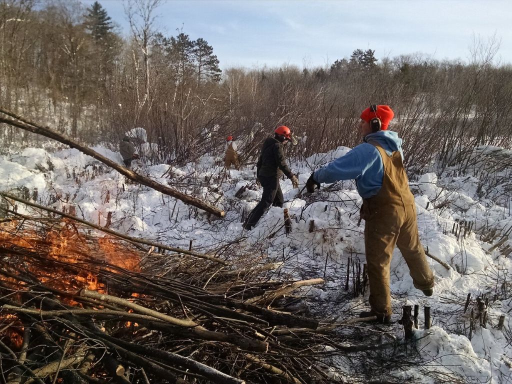 SNA Crew Member Maria Otto loading a buckthorn stem onto the burn pile at Inch Lake State Natural Area. Photo: Ryan Magana SNA Crew Member Maria Otto loading a buckthorn stem onto the burn pile at Inch Lake State Natural Area. Photo: Ryan Magana