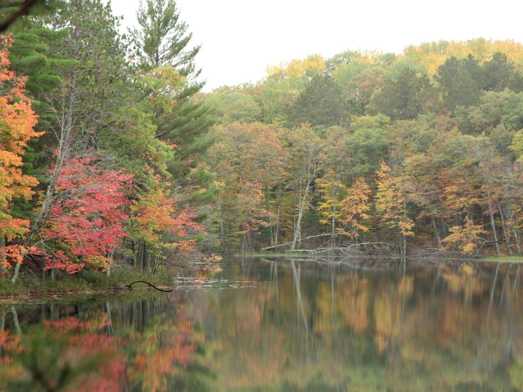 Saving one of Wisconsin’s last wild lakes Saving one of Wisconsin’s last wild lakes