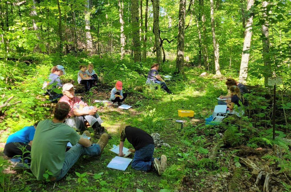 Outdoor Learning Day