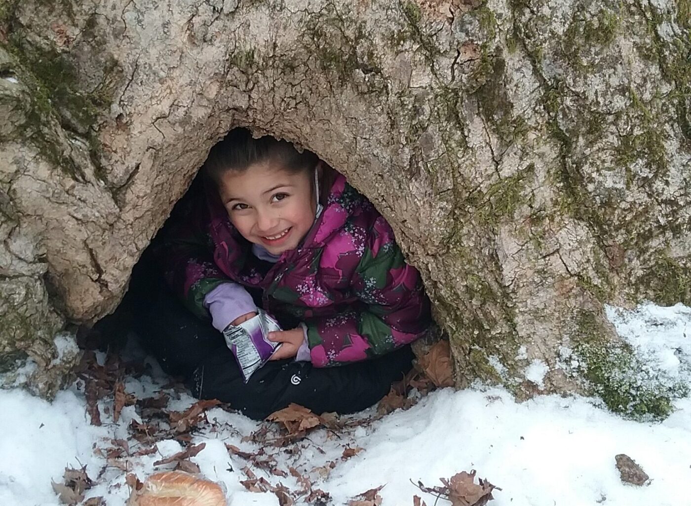 A first grader from Tower Rock Elementary School peeks out from under a tree during one of their weekly outdoor learning days. Photo: Angus Mossman
