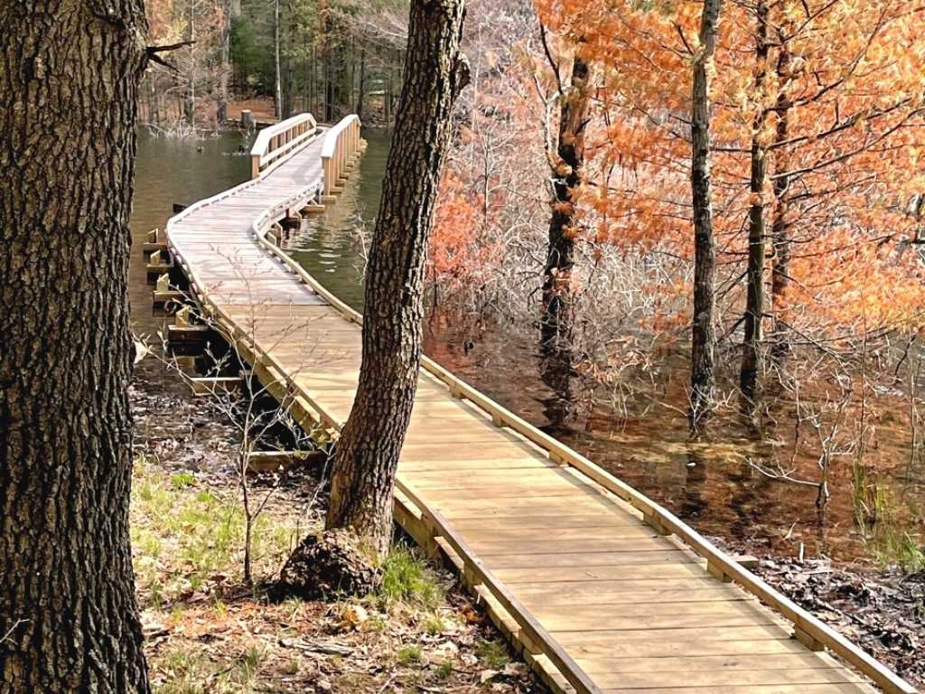 A wooden walkway winds through trees in fall colors.