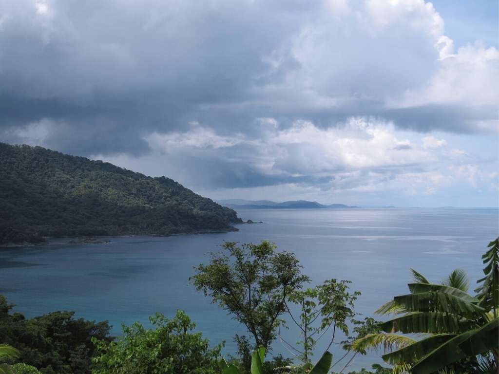 View of a cloudy sky over a seaside bay with tree-covered hills in background and tropical trees in foreground.