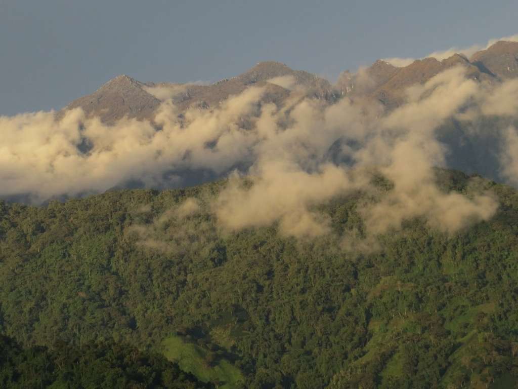 Migratory bird overwintering habitat in the Santa Marta Mountains, Columbia. The Neotropical Flyways Project of the Cornell Lab of Ornithology and SELVA is a priority project of the Bird Protection Fund and is researching migratory bird overwintering sites in Central and South America. Photo: Nick Bayly Migratory bird overwintering habitat in the Santa Marta Mountains, Columbia. The Neotropical Flyways Project of the Cornell Lab of Ornithology and SELVA is a priority project of the Bird Protection Fund and is researching migratory bird overwintering sites in Central and South America. Photo: Nick Bayly