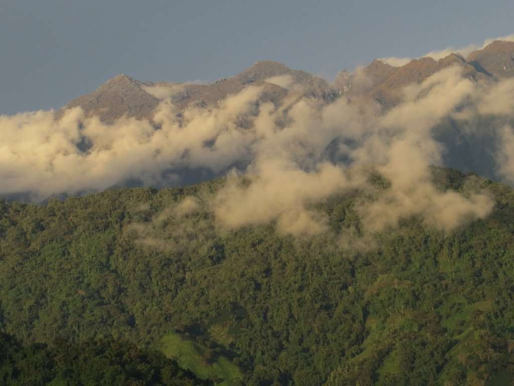 Migratory bird overwintering habitat in the Santa Marta Mountains, Columbia. The Neotropical Flyways Project of the Cornell Lab of Ornithology and SELVA is a priority project of the Bird Protection Fund and is researching migratory bird overwintering sites in Central and South America. Photo: Nick Bayly