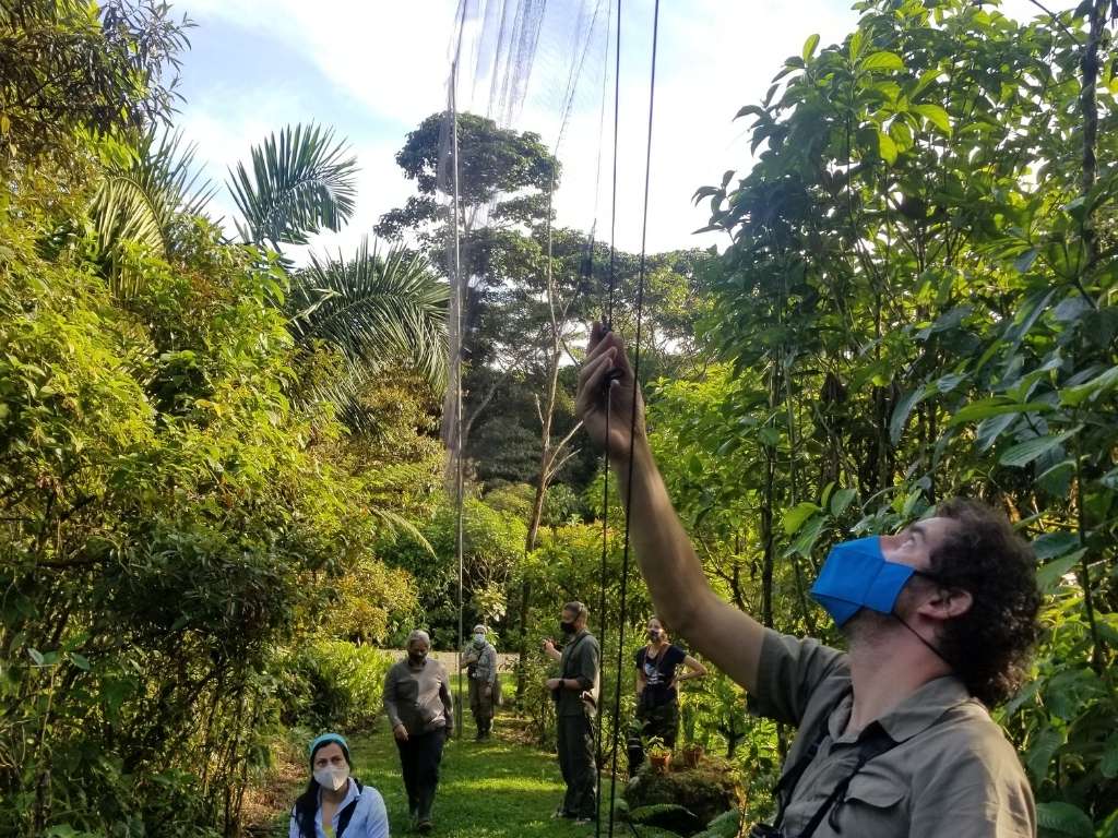 Participants in the workshop for advanced techniques for studying migratory birds learn how to install canopy nets at Las Brisas Reserve in Costa Rica. Photo: Salvadora Morales