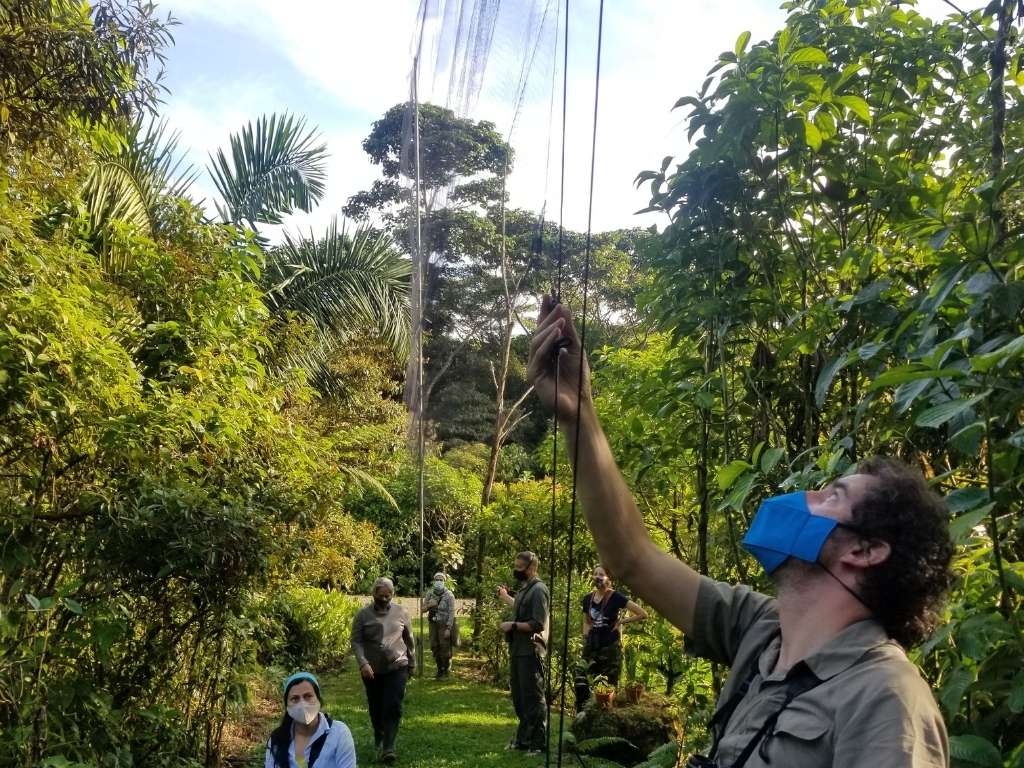Salvadora Morales Participants in the workshop for advanced techniques for studying migratory birds learn how to install canopy nets at Las Brisas Reserve in Costa Rica. Photo: Salvadora Morales