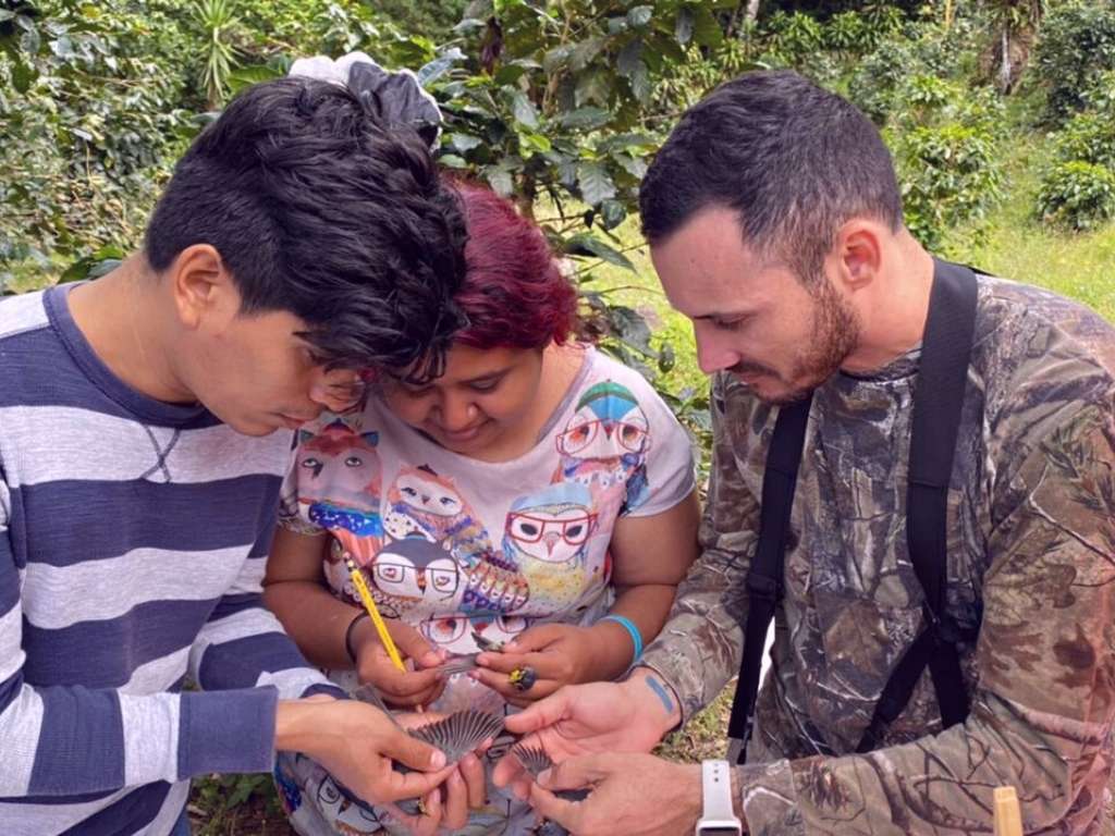 The banding team in Nicaragua examine Canada warbler wings to determine their age as they head north on spring migration. Photo SELVA