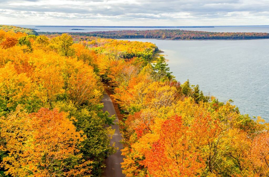 Bird’s eye view of a road with bright, colorful trees on either side with a lake and small islands in the background..