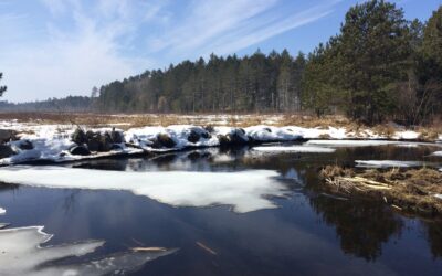 Climate Adaptation in Wisconsin: Getting Ahead of the Change