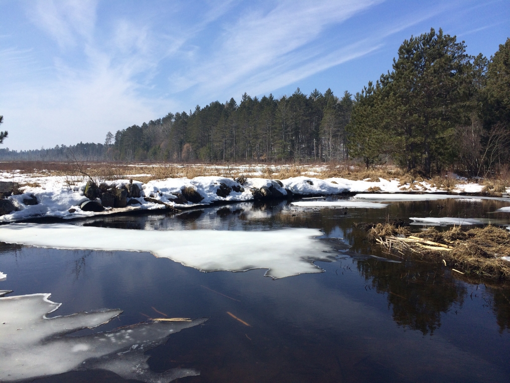 climate resiliency - a body of water with melting ice on it surrounded by a field lightly covered in snow and tall pine trees