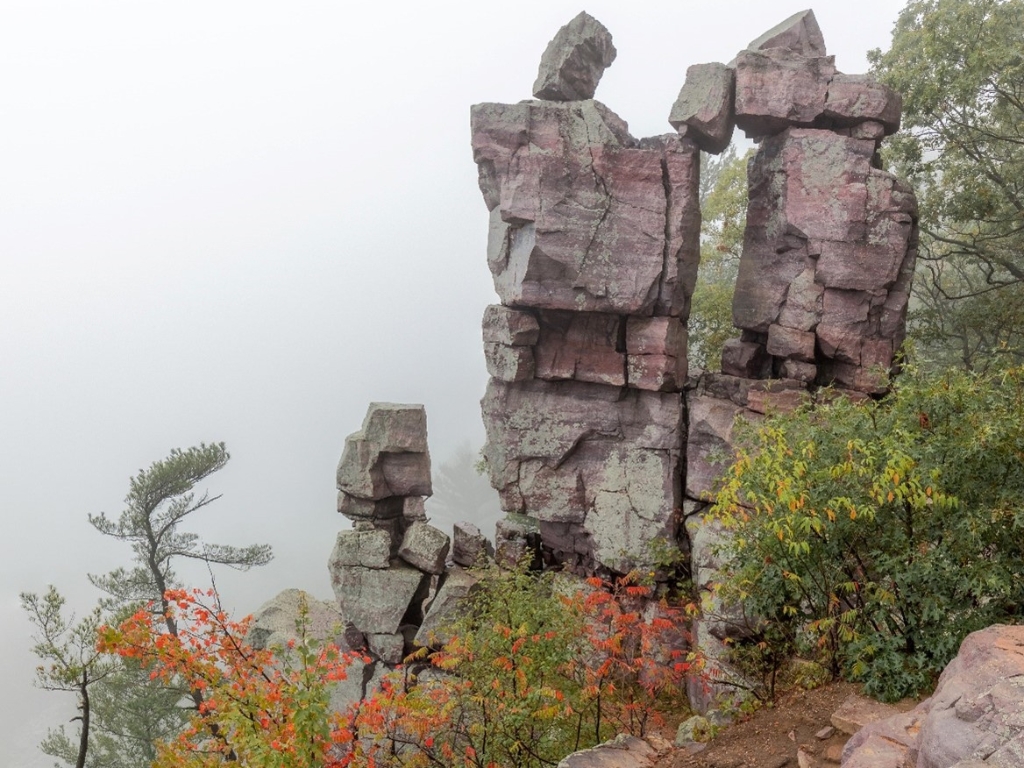 climate adaptation- a foggy view of towering rocks with plants and bushed growing within them at Devil's Lake State Park