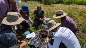 A group of volunteers during a Wisconsin Master Naturalist training course examining soil in a field. 