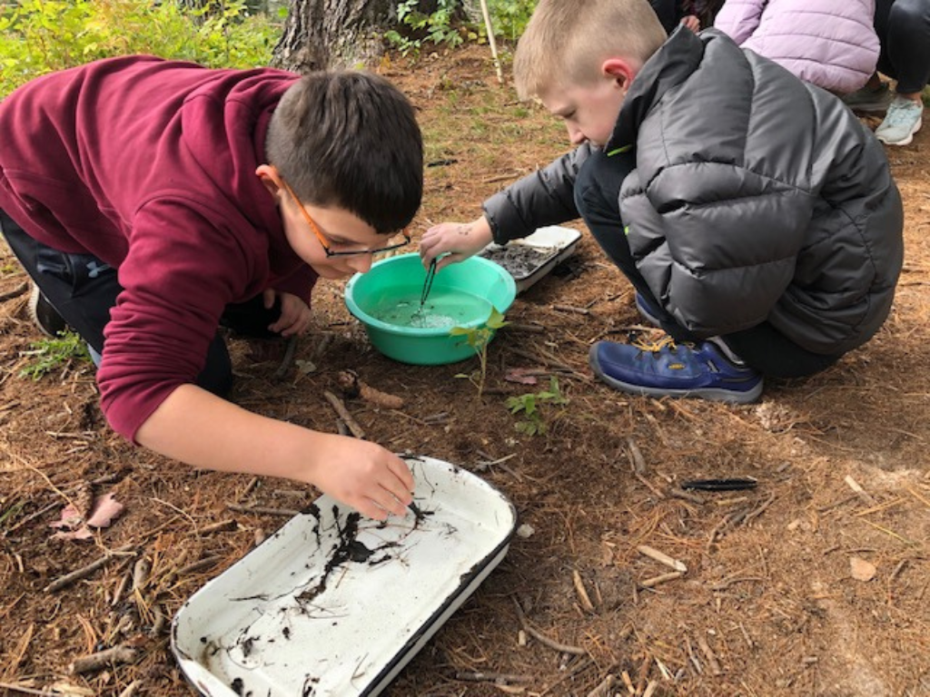 Blog Post Photo Dimensions 43 (4) Students looking through a water sample during a pond study.