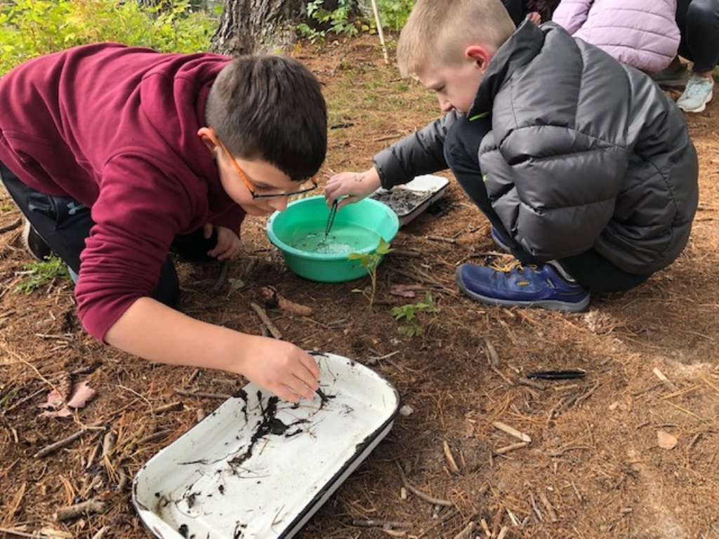 Students looking through a water sample during a pond study.