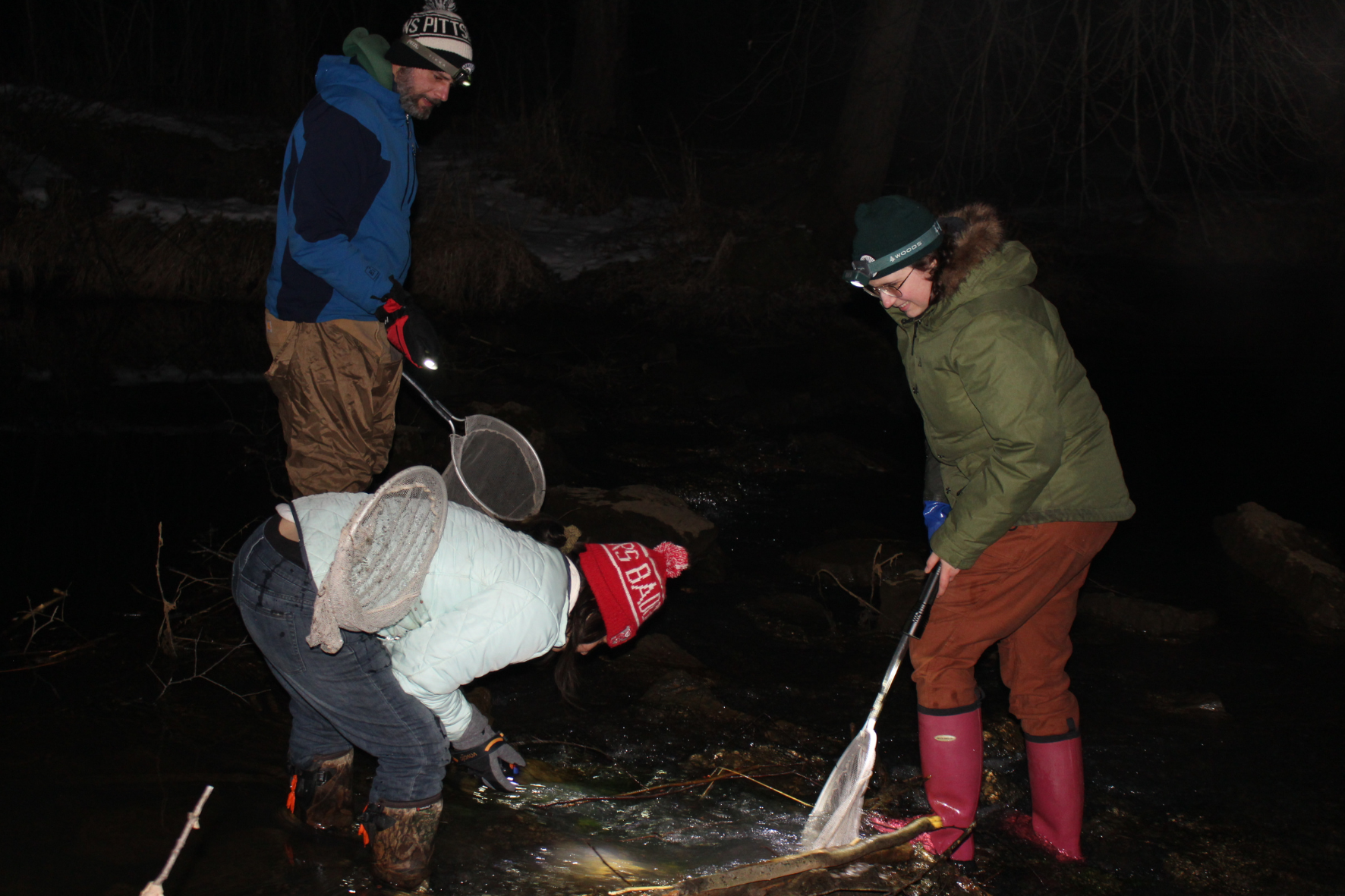 DNR biologists search for mudpuppies in Wisconsin in the Lower Wisconsin State Riverway, as part of an effort to learn more about their distribution across the state.