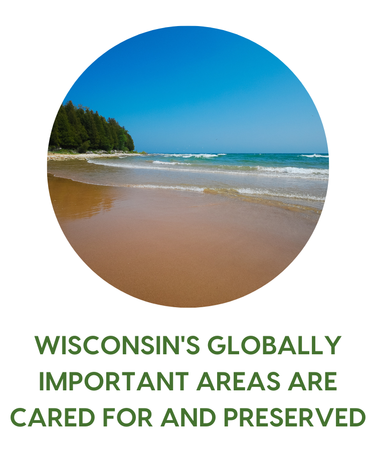 Evergreen Fund Webpage Circles (1) Lake Michigan Shoreline. Photo by Joshua Mayer