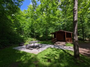 A rustic cabin and paved picnic table area surrounded by trees.