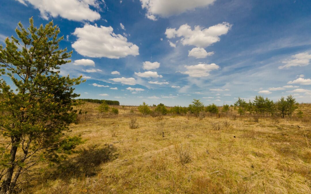 Landscape view of Motts Ravine State Natural Area.