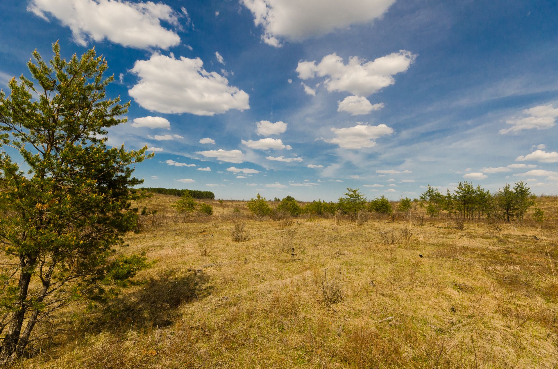 Landscape view of Motts Ravine State Natural Area.