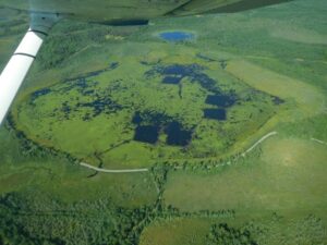 An aerial photo of Spur Lake following removal of aquatic vegetation that outcompetes wild rice in August 2022.