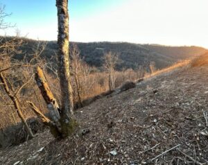 The prairie during golden hour with brush piles ready to be burnt this winter.