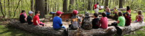 Children sit on logs and listen to an educational presentation - Website Homepage Banner Recent Projects By Elizabeth Wilson