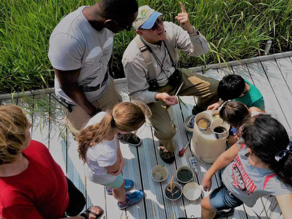 Students and nature guides examine water and soil in cups while standing on a boardwalk in Cherokee Marsh