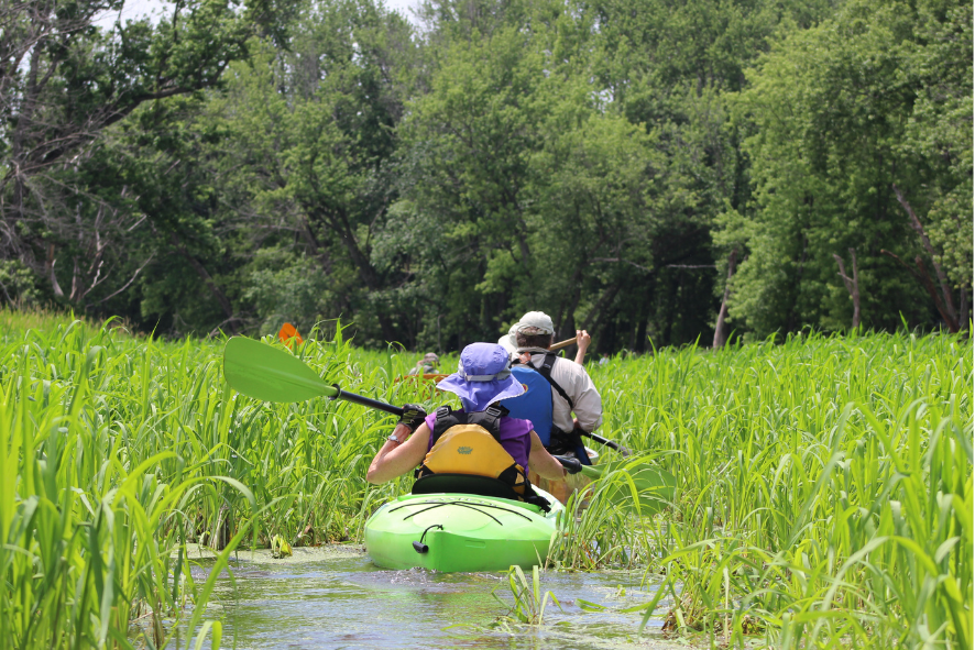 two people in kayaks paddling through grassy water, 30th anniversary field trip program blog
