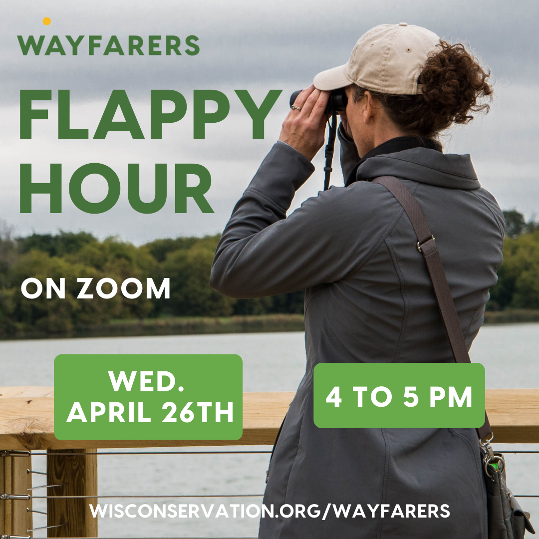 Wayfarers Event Promos Square (5)