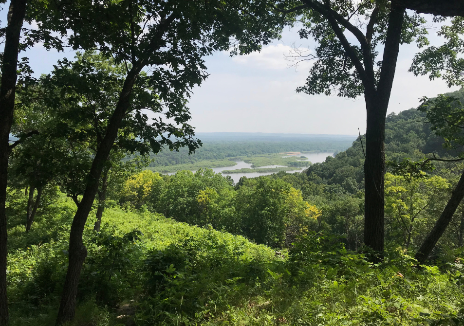 Overlooking green hills with trees framing each side of the image