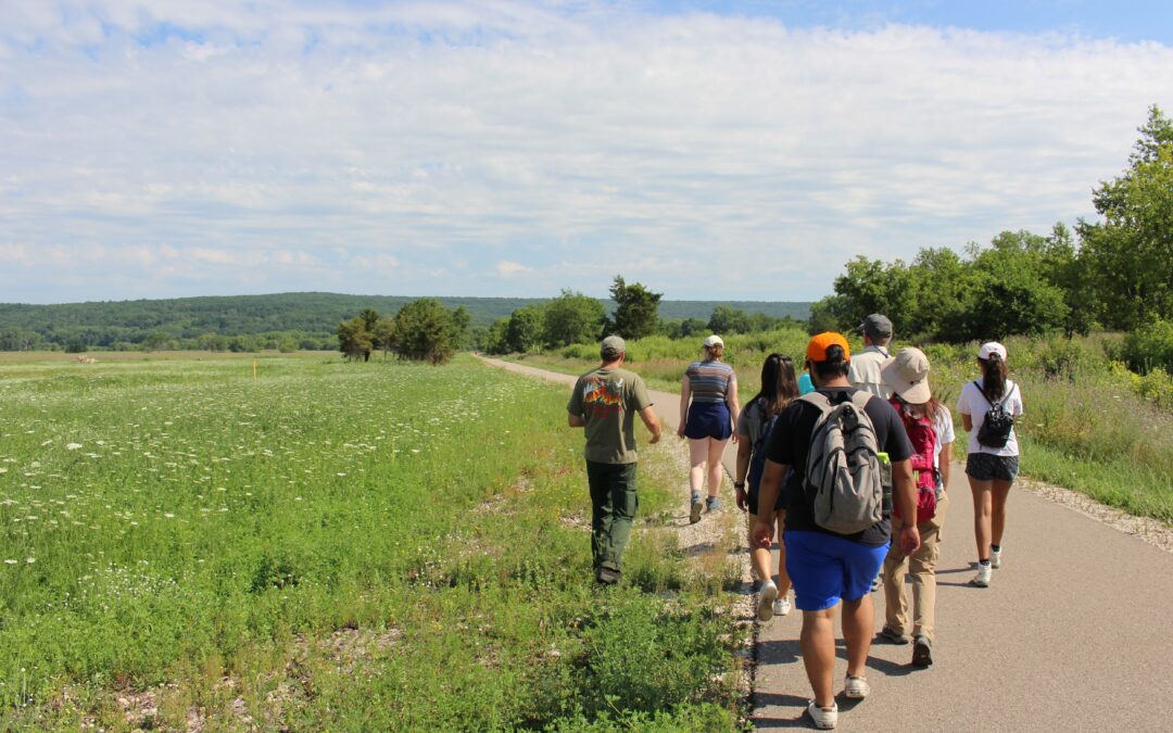 Group of people walking on a paved sidewalk through a field