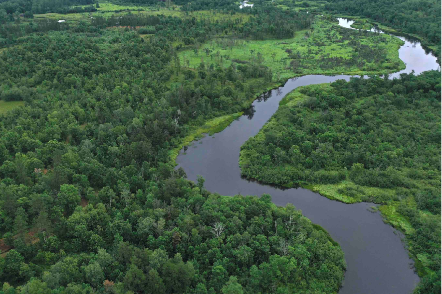 Blog Post Photo Dimensions 43 (37) Drone shot of a forest with river winding through