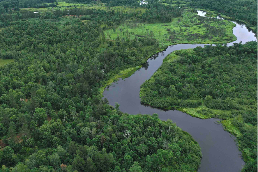 Drone shot of a forest with river winding through