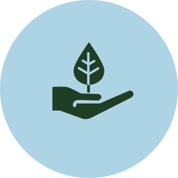 simple icon of a hand holding a leaf