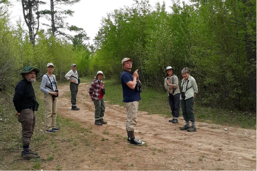Members of the Up North Hammerheads looking for golden-winged warblers in the Arbor Vitae area.