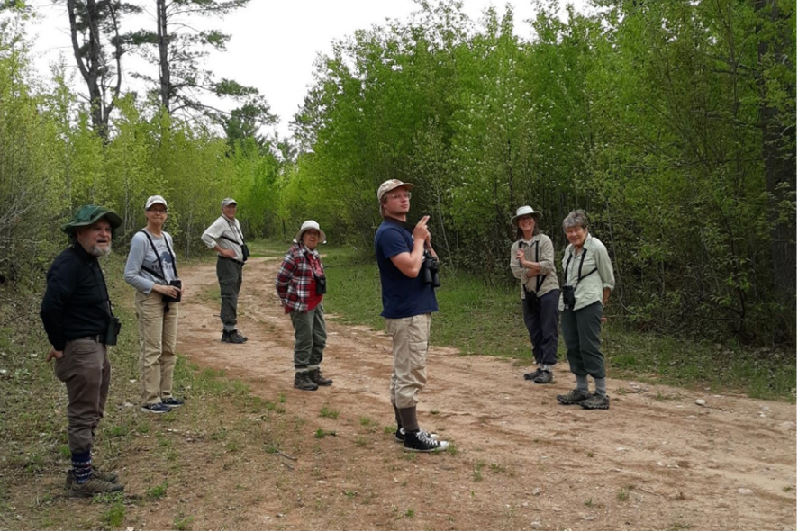 Blog Post Photo Dimensions 43 (48) Members of the Up North Hammerheads looking for golden-winged warblers in the Arbor Vitae area.