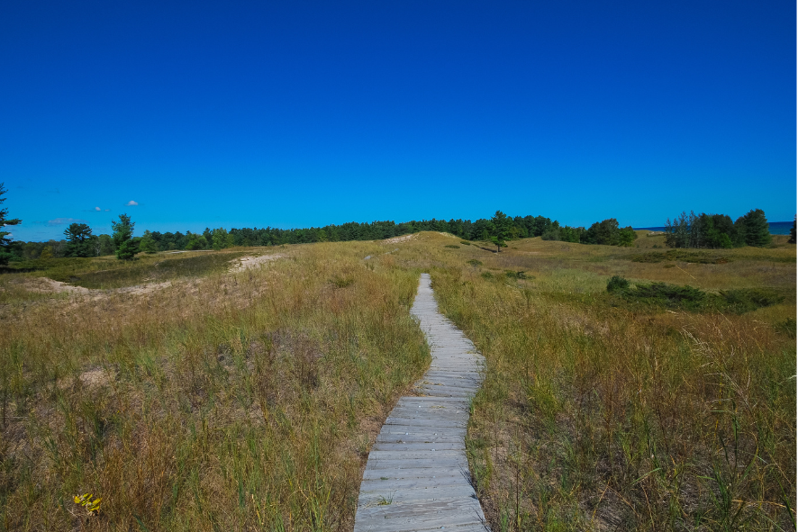 Blog post photo dimensions 43 (54) private land restoration blog - prairie with yellow, white, and purple flowers in it