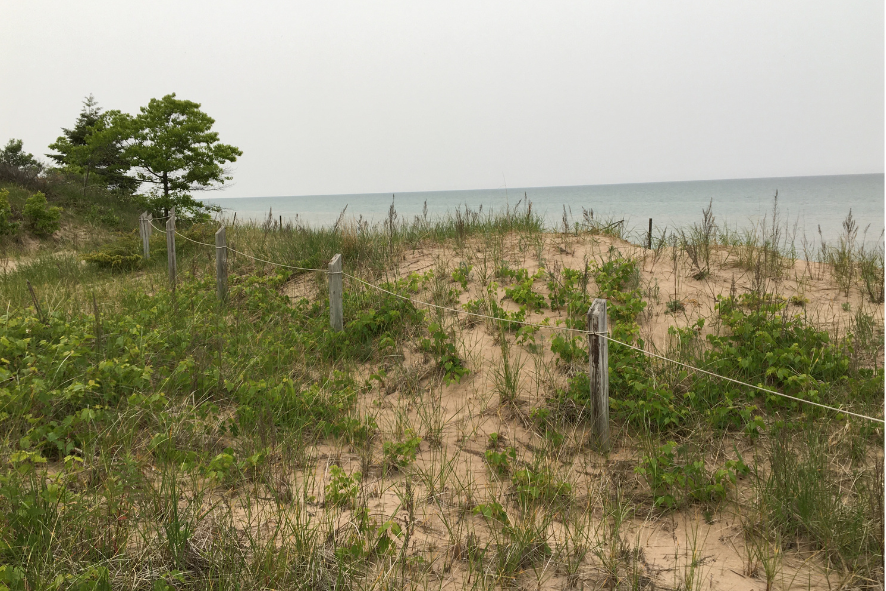 Forest Park Beach Restoration