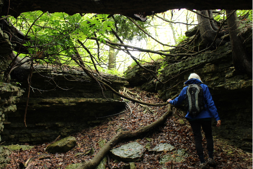 Field Trip participants explore the Niagara Escarpment on a Field Trip to Red Banks Alvar.