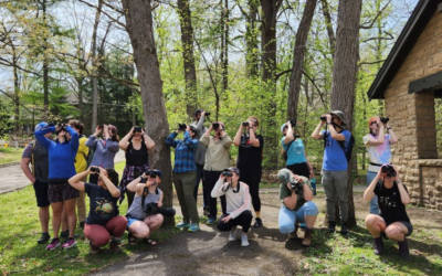 2023 Birdathon Report and Bird Protection Fund grants