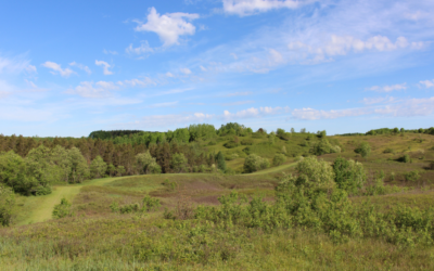 Is Spread Eagle Barrens…barren? Not at all.