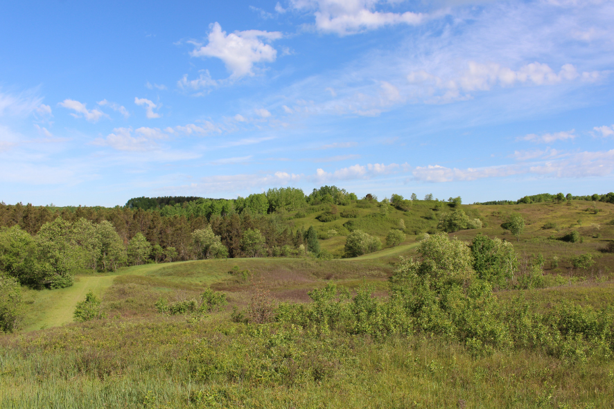 Spread Eagle Barrens landscape