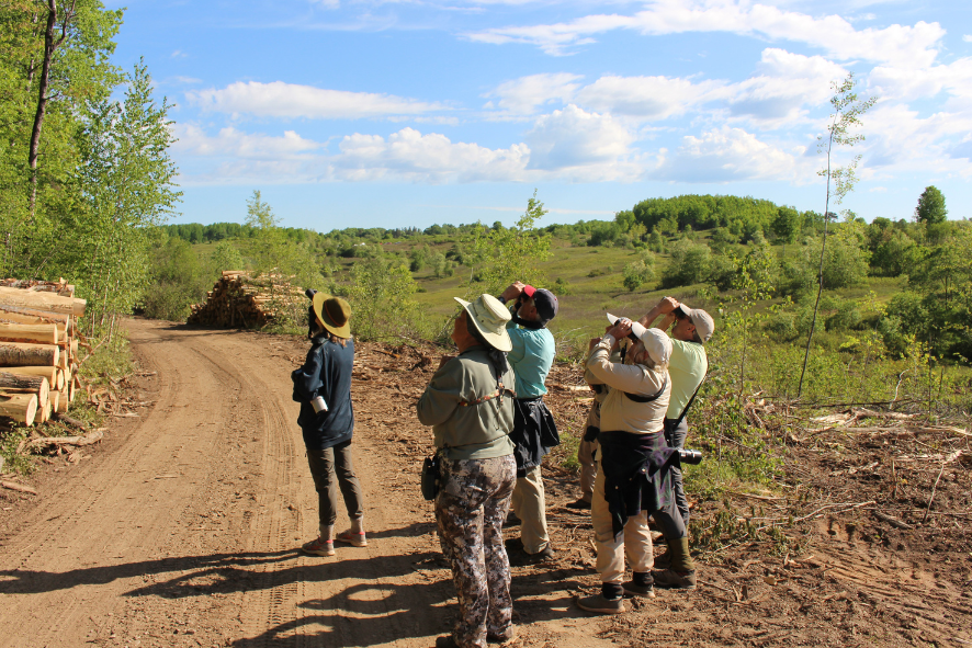 Field Trip participants search for birds at Spread Eagle Barrens State Natural Area. 