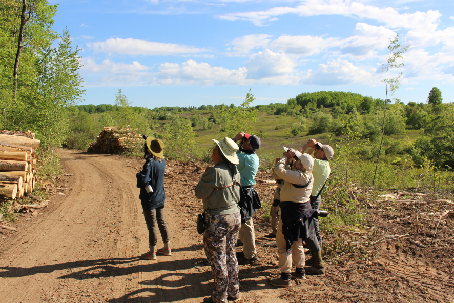Blog Post Photo Dimensions 43 (82) Field Trip participants search for birds at Spread Eagle Barrens State Natural Area.