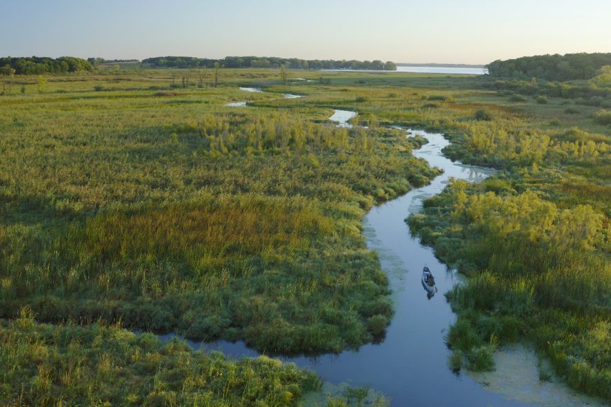 a narrow path of water winds through a large expanse of marsh plants